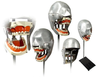 Illustration for article titled These Silently Screaming Dental Mannequins Are What Nightmares Are Made Of